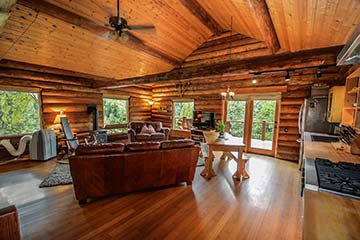 Control de termitas en bungalows y casas de madera Termitas en casas de madera